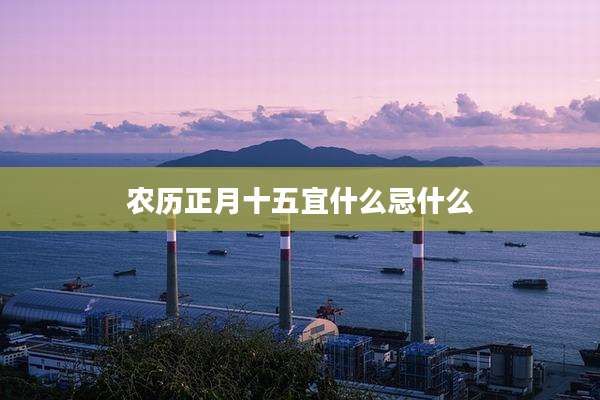 农历正月十五宜什么忌什么