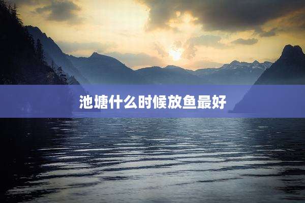 池塘什么时候放鱼最好