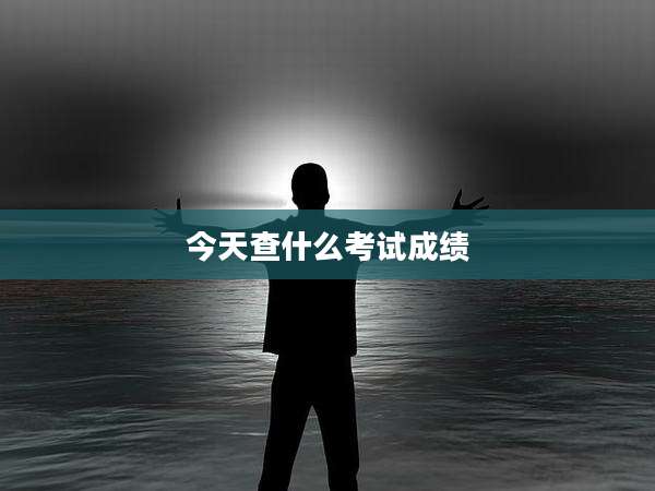 今天查什么考试成绩
