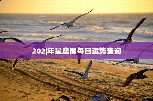 202|年星座屋每日运势查询