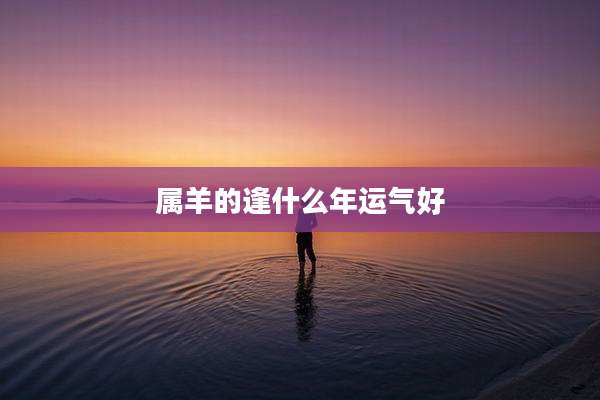 属羊的逢什么年运气好