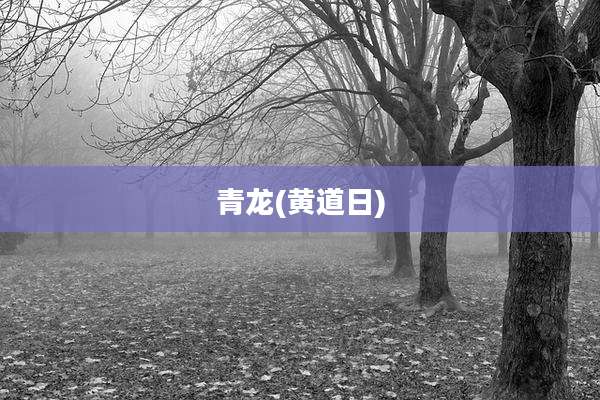 青龙(黄道日)