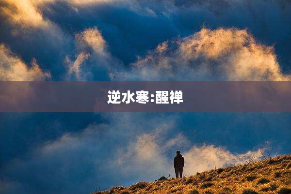 逆水寒:醒禅