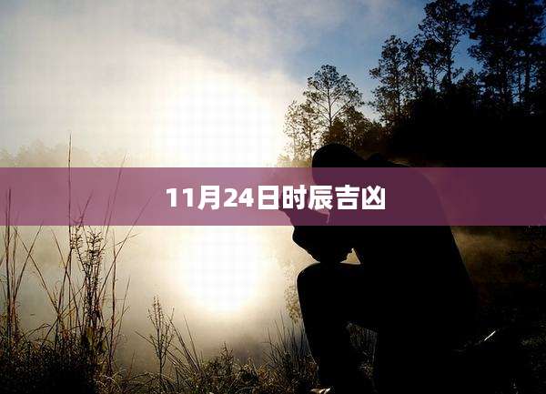 11月24日时辰吉凶