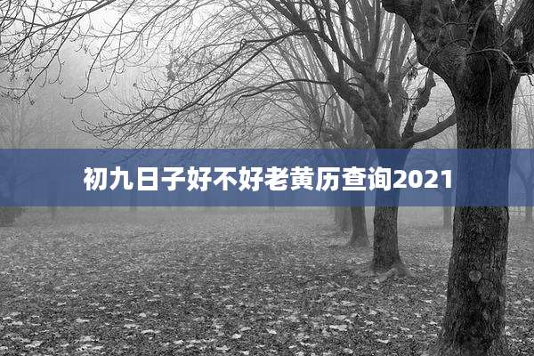 初九日子好不好老黄历查询2021
