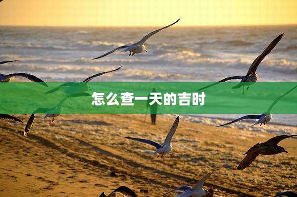 怎么查一天的吉时