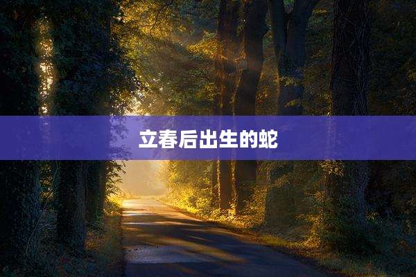 立春后出生的蛇