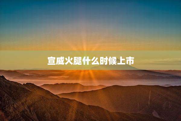 宣威火腿什么时候上市