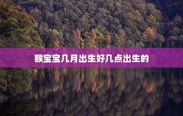 猴宝宝几月出生好几点出生的