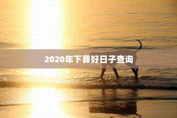 2020年下葬好日子查询