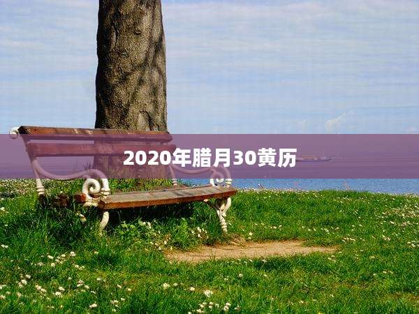 2020年腊月30黄历