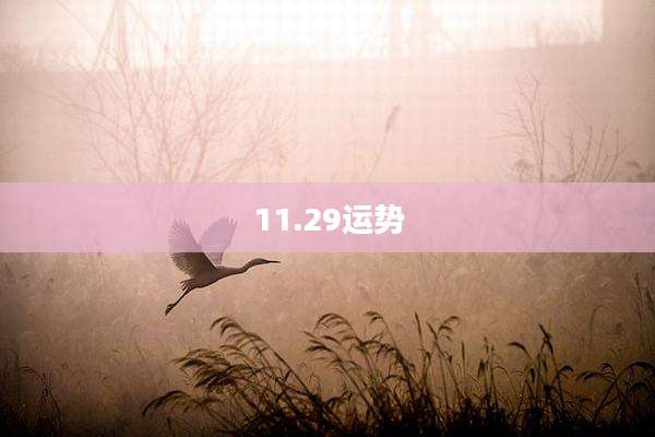 11.29运势