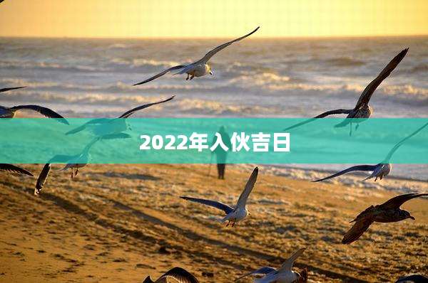 2022年入伙吉日