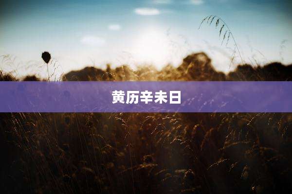 黄历辛未日
