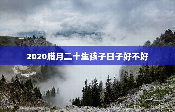 2020腊月二十生孩子日子好不好