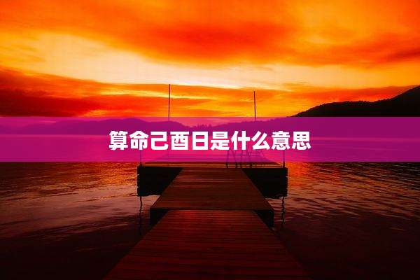 算命己酉日是什么意思