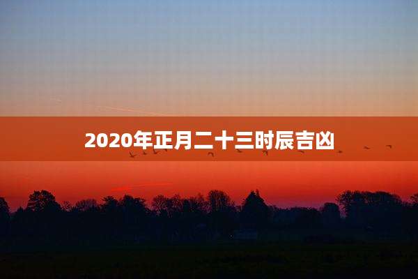 2020年正月二十三时辰吉凶