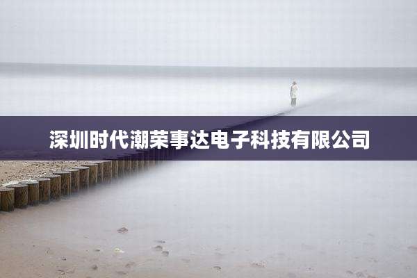 深圳时代潮荣事达电子科技有限公司