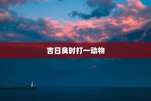 吉日良时打一动物