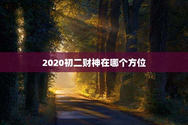 2020初二财神在哪个方位