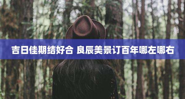 吉日佳期结好合 良辰美景订百年哪左哪右