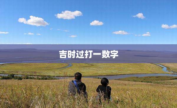 吉时过打一数字