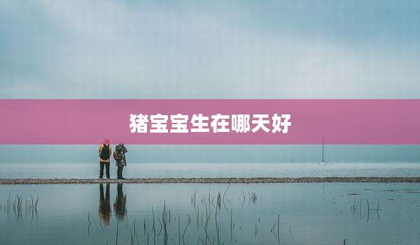 猪宝宝生在哪天好