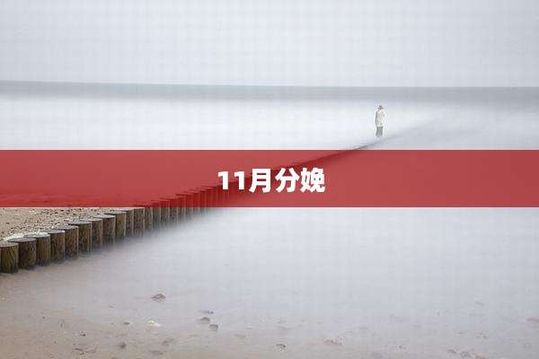 11月分娩