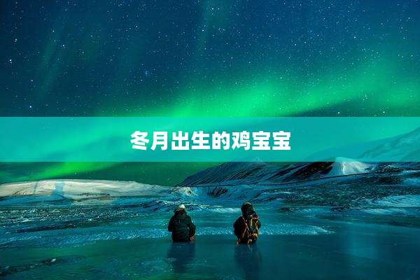 冬月出生的鸡宝宝