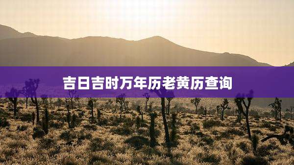 吉日吉时万年历老黄历查询