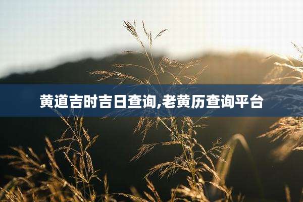 黄道吉时吉日查询,老黄历查询平台