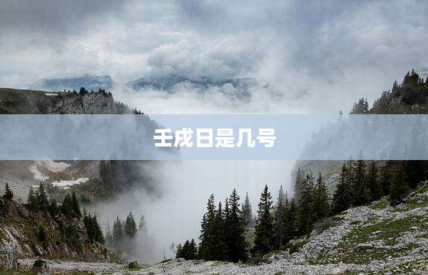 壬戌日是几号