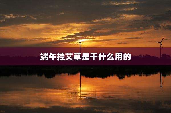 端午挂艾草是干什么用的