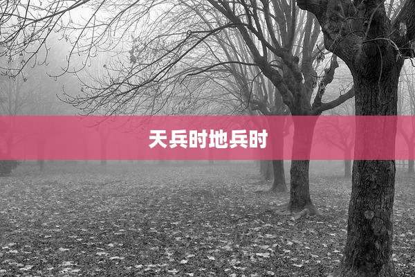 天兵时地兵时