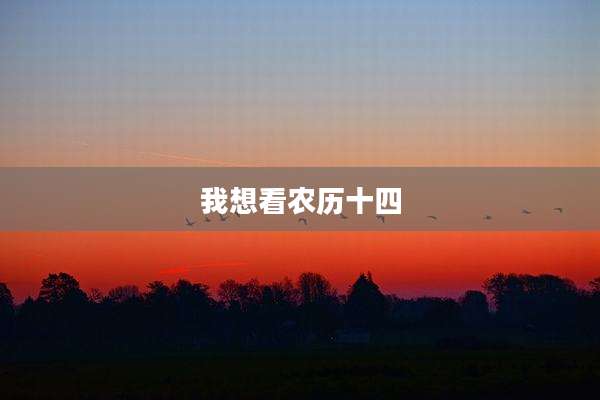 我想看农历十四