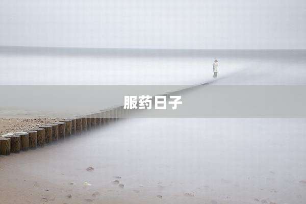 服药日子