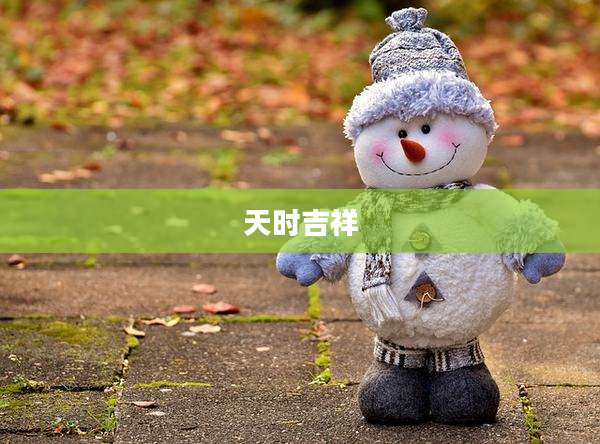 天时吉祥