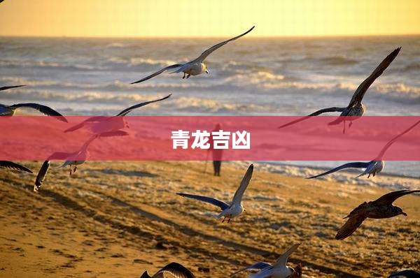 青龙吉凶