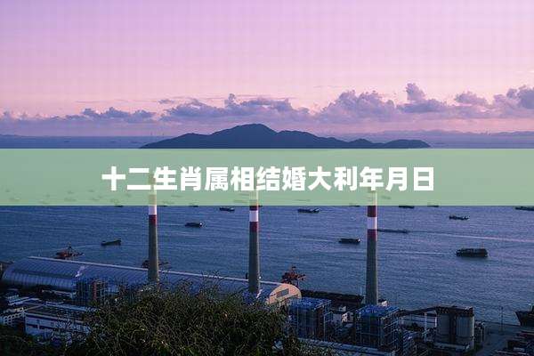 十二生肖属相结婚大利年月日