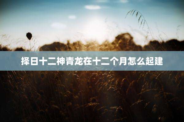 择日十二神青龙在十二个月怎么起建