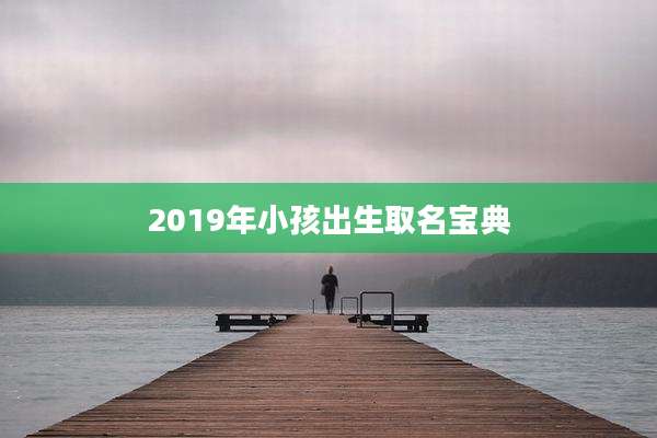 2019年小孩出生取名宝典