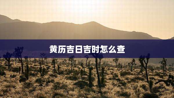 黄历吉日吉时怎么查