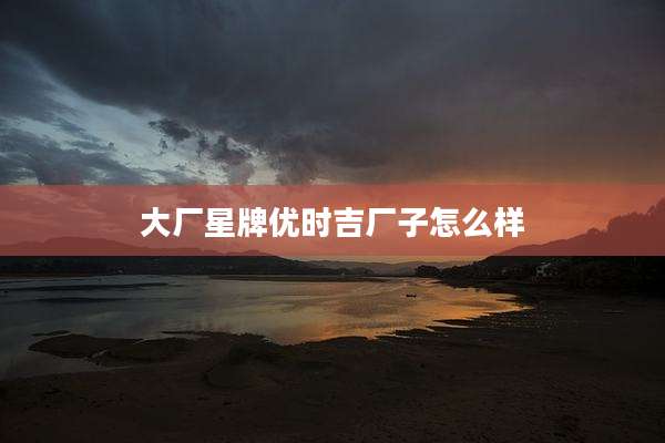 大厂星牌优时吉厂子怎么样