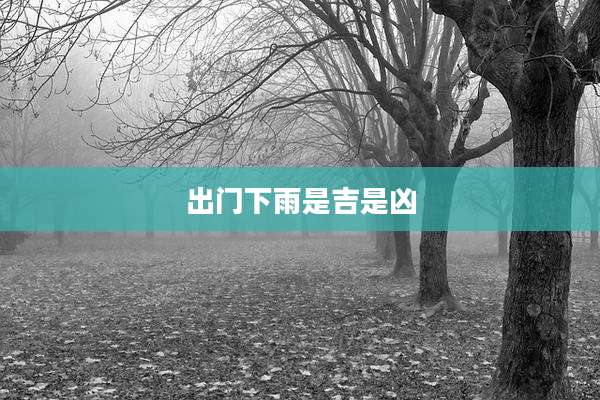 出门下雨是吉是凶