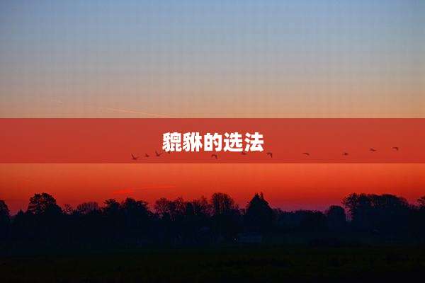 貔貅的选法