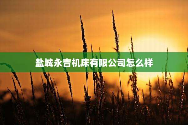 盐城永吉机床有限公司怎么样