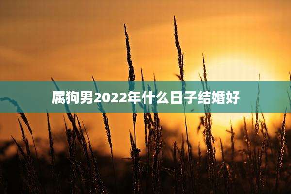 属狗男2022年什么日子结婚好