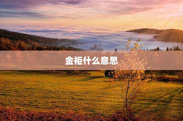 金柜什么意思