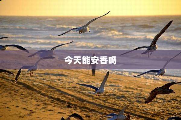 今天能安香吗