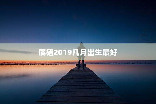 属猪2019几月出生最好